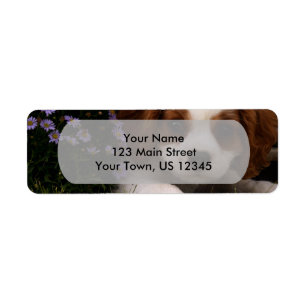Cavalier King Charles Spaniel Puppy achter de bloe Etiket