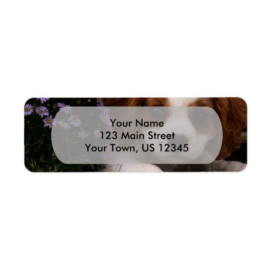 Cavalier King Charles Spaniel Puppy achter de bloe Etiket (Voorkant)