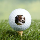 Cavalier King Charles Spaniel Puppy achter de bloe Golfballen (Insitu Shirt)