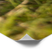 Cavalier King Charles Spaniel Puppy achter de bloe Poster (Hoek)