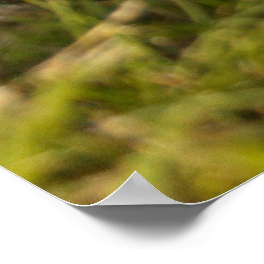 Cavalier King Charles Spaniel Puppy achter de bloe Poster (Hoek)