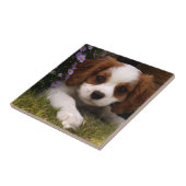 Cavalier King Charles Spaniel Puppy achter de bloe Tegeltje (Zijkant)