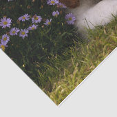 Cavalier King Charles Spaniel Puppy achter de bloe Tissuepapier (Detail)