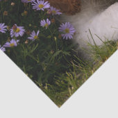 Cavalier King Charles Spaniel Puppy achter de bloe Tissuepapier (Detail)