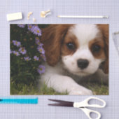 Cavalier King Charles Spaniel Puppy achter de bloe Tissuepapier (Craft)
