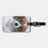 Cavalier King Charles Spaniel Puppy Bagagelabel (Voorkant horizontaal)