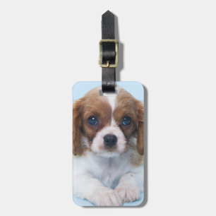 Cavalier King Charles Spaniel Puppy Bagagelabel