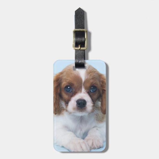 Cavalier King Charles Spaniel Puppy Bagagelabel (Voorkant verticaal)