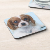 Cavalier King Charles Spaniel Puppy Bier Onderzetter (Linkerzijde)