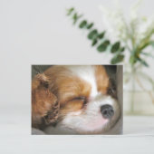 Cavalier King Charles Spaniel Puppy Briefkaart (Staand voorkant)