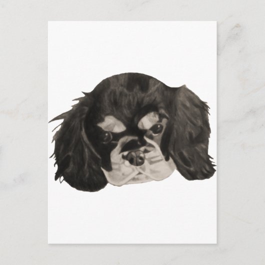 Cavalier King Charles Spaniel Puppy Briefkaart (Voorkant)