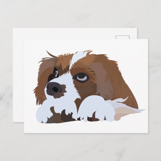 Cavalier King Charles Spaniel Puppy Briefkaart (Voorkant / Achterkant)