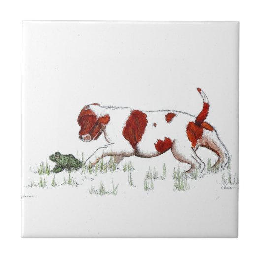 Cavalier King Charles Spaniel puppy CKC Tegeltje (Voorkant)