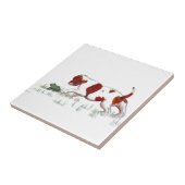 Cavalier King Charles Spaniel puppy CKC Tegeltje (Zijkant)