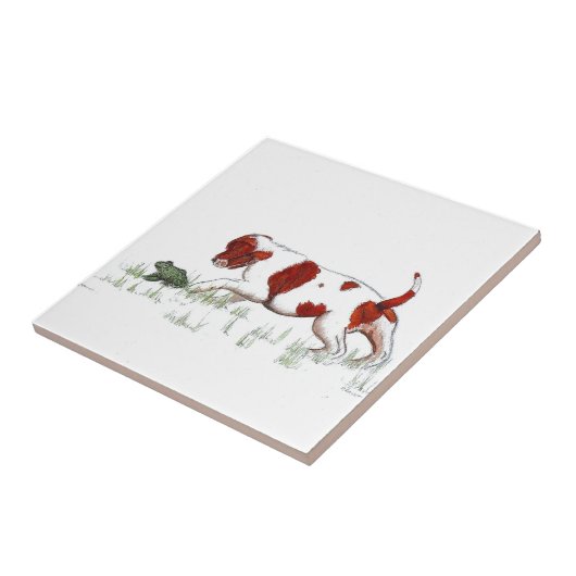 Cavalier King Charles Spaniel puppy CKC Tegeltje (Zijkant)