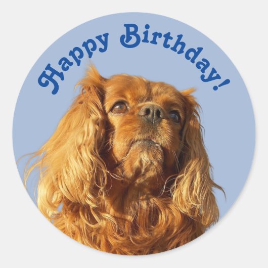 Cavalier King Charles Spaniel Puppy Dog Blue Party Ronde Sticker (Voorkant)