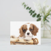 Cavalier King Charles Spaniel Puppy Dog Briefkaart (Staand voorkant)