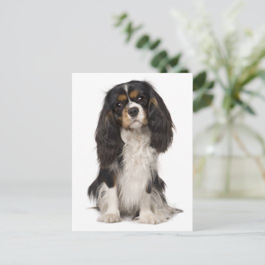 Cavalier King Charles Spaniel Puppy Dog Briefkaart (Staand voorkant)