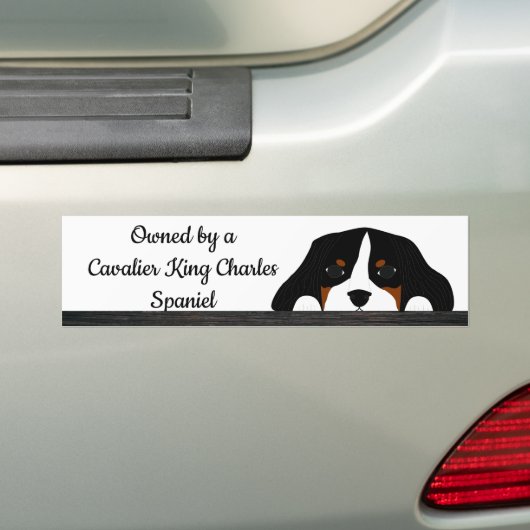 Cavalier King Charles Spaniel Puppy Dog Bumpersticker (Op auto)