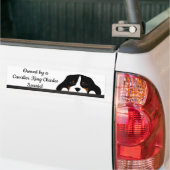 Cavalier King Charles Spaniel Puppy Dog Bumpersticker (Op Truck)