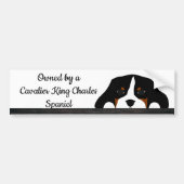 Cavalier King Charles Spaniel Puppy Dog Bumpersticker (Voorkant)