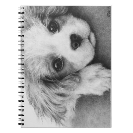 Cavalier King Charles Spaniel Puppy Dog notebook Notitieboek (Voorkant)