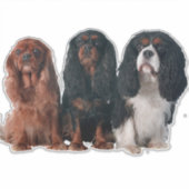 Cavalier King Charles Spaniel Puppy Dog Sticker (Voorkant)