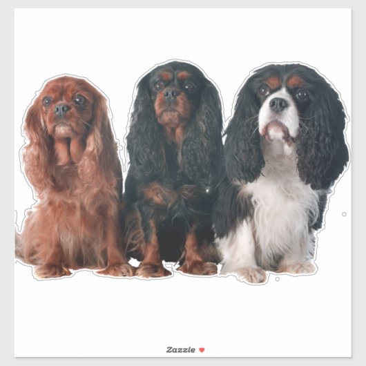 Cavalier King Charles Spaniel Puppy Dog Sticker (Vel)