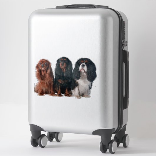 Cavalier King Charles Spaniel Puppy Dog Sticker (Koffer)