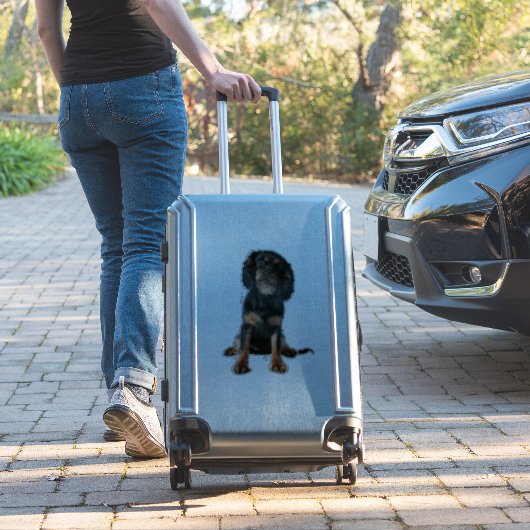 Cavalier King Charles Spaniel Puppy Dog Sticker (Koffer Insitu)