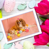 Cavalier King Charles Spaniel Puppy Easter Kaart