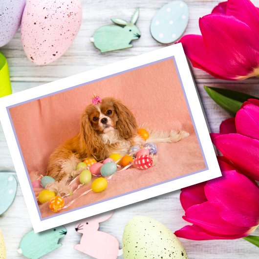 Cavalier King Charles Spaniel Puppy Easter Kaart