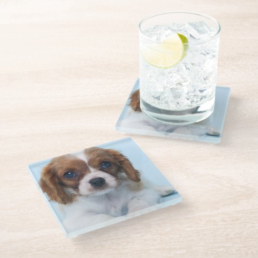 Cavalier King Charles Spaniel Puppy Glazen Onderzetter (Schuin)