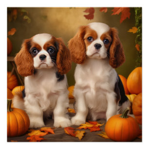 Cavalier King Charles Spaniel Puppy Herfst Pompoen Perfect Poster