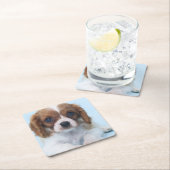 Cavalier King Charles Spaniel Puppy Kartonnen Onderzetters (Insitu)