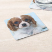 Cavalier King Charles Spaniel Puppy Kartonnen Onderzetters (Schuin)