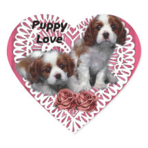 Cavalier King Charles Spaniel Puppy Love