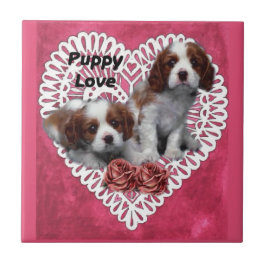 Cavalier King Charles Spaniel Puppy Love Tegeltje
