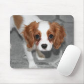 Cavalier King Charles Spaniel Puppy Mousepad Muismat (Met muis)