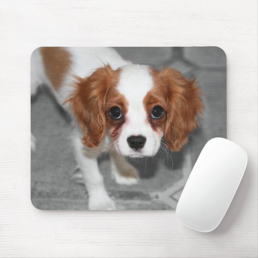Cavalier King Charles Spaniel Puppy Mousepad Muismat (Met muis)