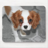 Cavalier King Charles Spaniel Puppy Mousepad Muismat (Voorkant)