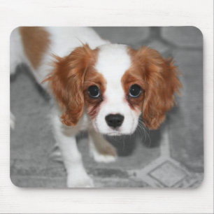 Cavalier King Charles Spaniel Puppy Mousepad Muismat