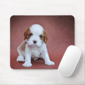 Cavalier King Charles Spaniel puppy Muismat (Met muis)