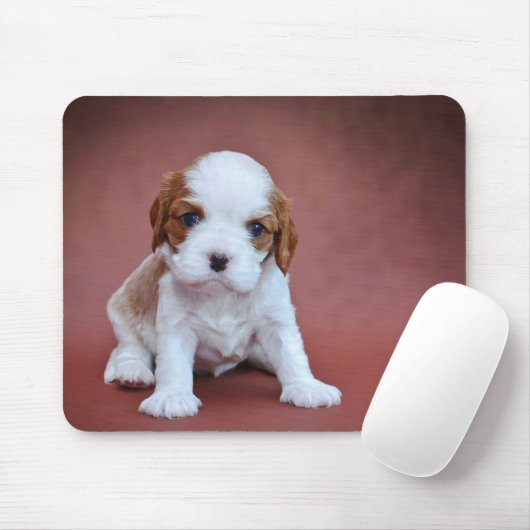 Cavalier King Charles Spaniel puppy Muismat (Met muis)