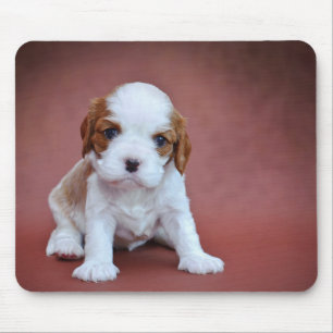 Cavalier King Charles Spaniel puppy Muismat