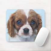 Cavalier King Charles Spaniel Puppy Muismat (Met muis)