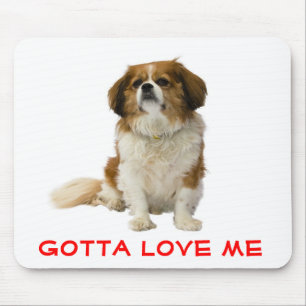 Cavalier King Charles Spaniel Puppy Muismatje Leuk Muismat