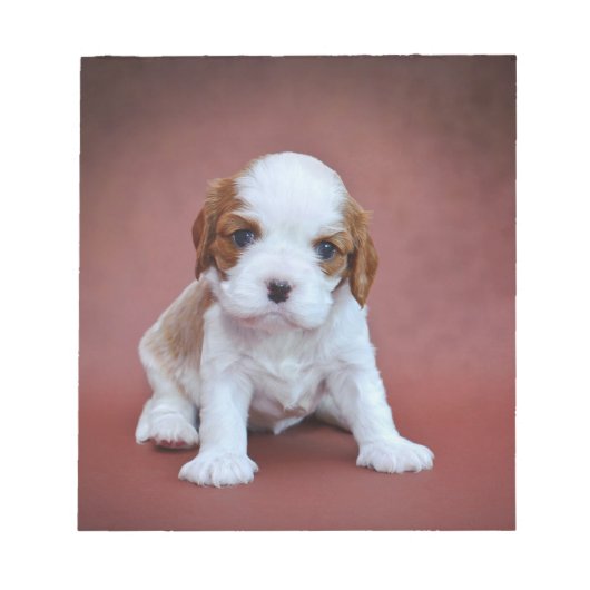 Cavalier King Charles Spaniel puppy Notitieblok (Voorkant)
