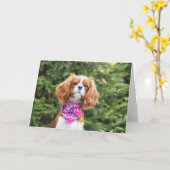 Cavalier King Charles Spaniel Puppy op 4 juli Kaart (Gele Bloem)