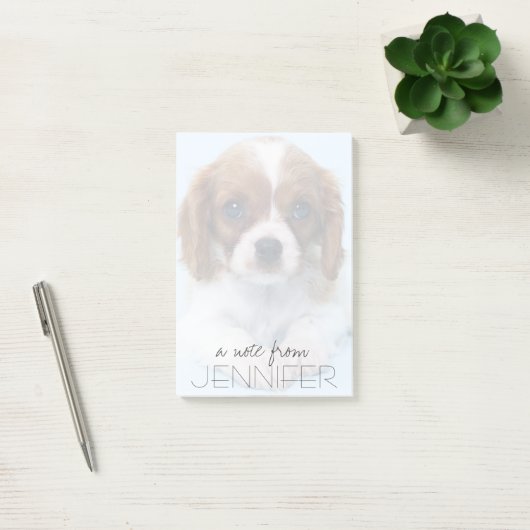Cavalier King Charles Spaniel Puppy Post-it® Notes (Kantoor)